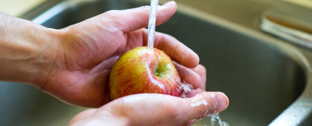 Um microbiologista explica a melhor maneira de lavar frutas e vegetais: ScienceAlert