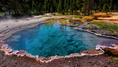 A água super-quente de Yellowstone pode segurar os segredos da primeira respiração da Terra: Sciencealert