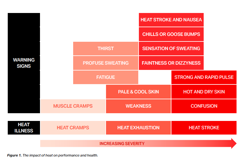 O infográfico mostra que, à medida que a gravidade do calor aumenta, os sinais de alerta e a doença do calor se intensificam. 