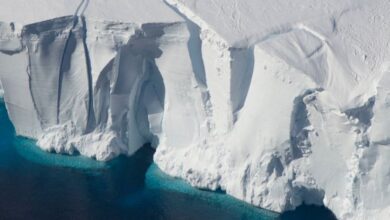 O estudo revela como a órbita da Terra desencadeia as idades do gelo, e há uma nos próximos 11.000 anos: Sciencealert