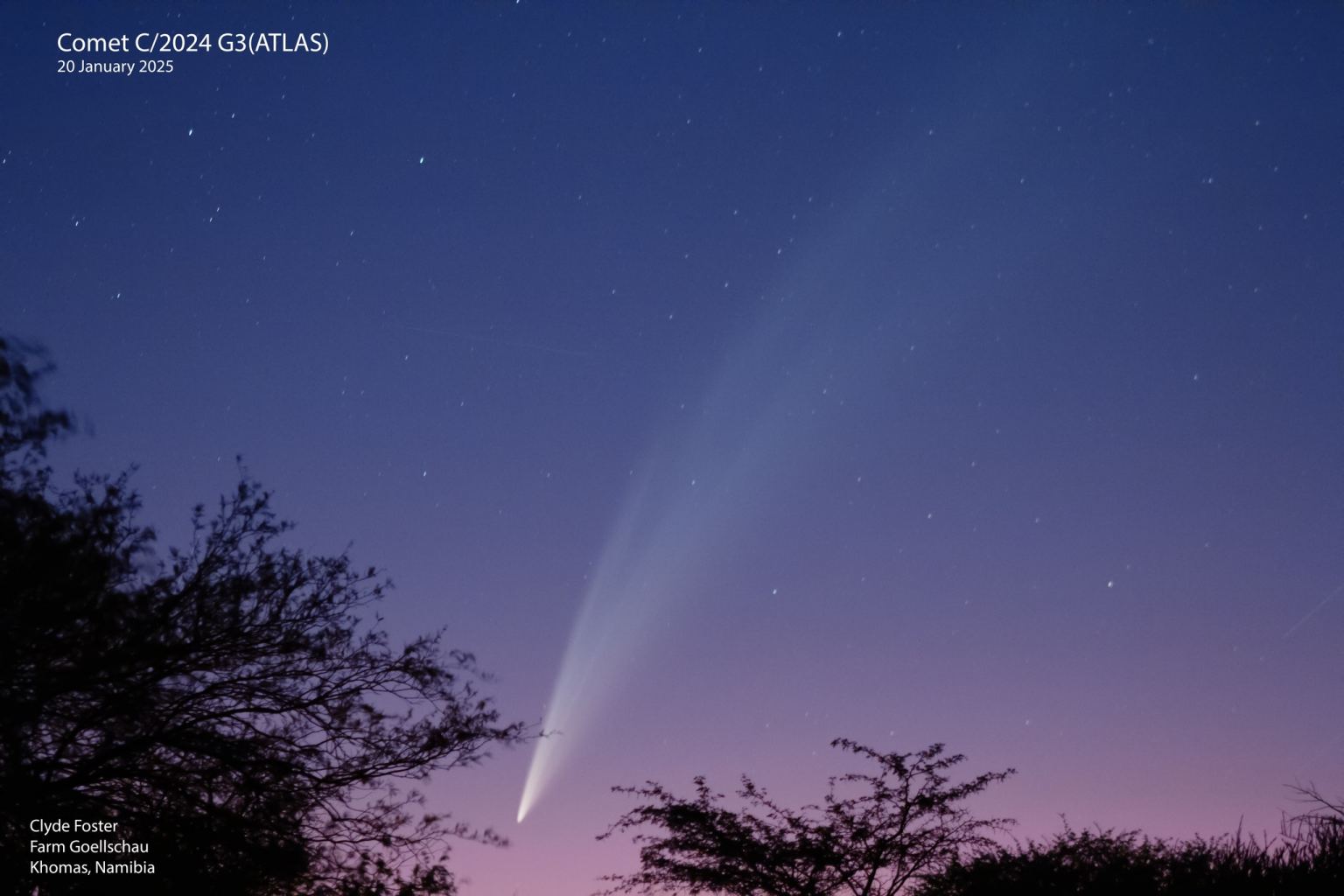 Cometa g3 atlas rindo pelo céu roxo