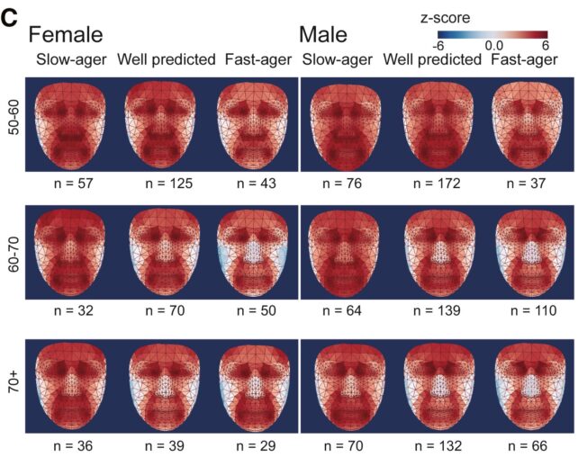 Face Calor Mapa Envelhecimento