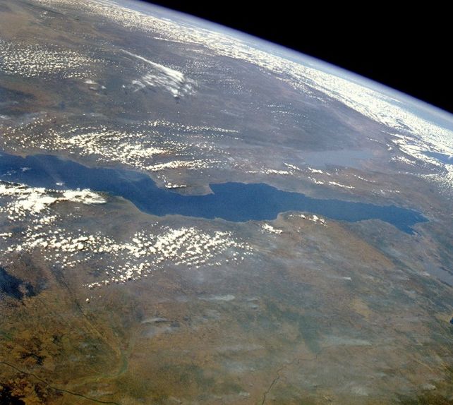 A radiação de uma estrela explosiva pode ter alterado a evolução aqui na terra