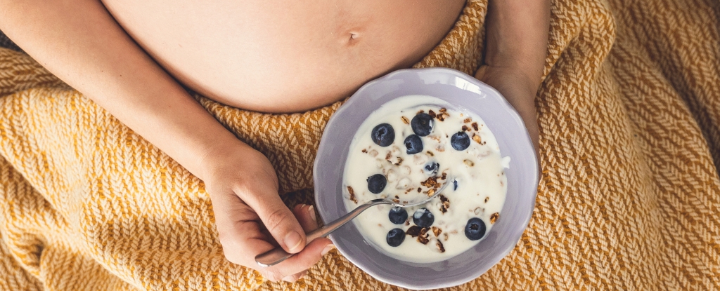 Uma escolha de dieta durante a gravidez pode proteger o coração do seu filho para a vida: Sciencealert