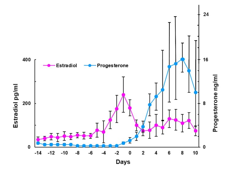 Plotagem de gráfico de linhas Níveis de estrogênio no aumento do dia um do ciclo menstrual antes de diminuir, e os níveis de progestorona atingem o pico no oito anos antes da derrota