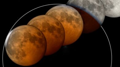 Uma 'lua de sangue' assustadora está prestes a aparecer. Veja como ver isso. : Sciencealert