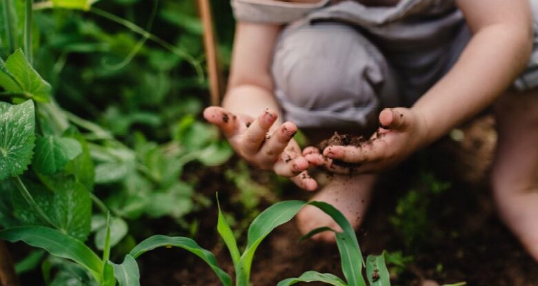 As crechas na Finlândia cultivavam florestas, e mudou os sistemas imunológicos para crianças: Sciencealert
